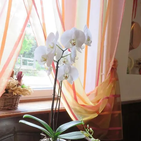 Le Relais Du Pont De Rhodes Szálloda 2*