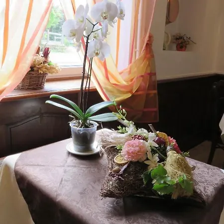 호텔 Le Relais Du Pont De Rhodes