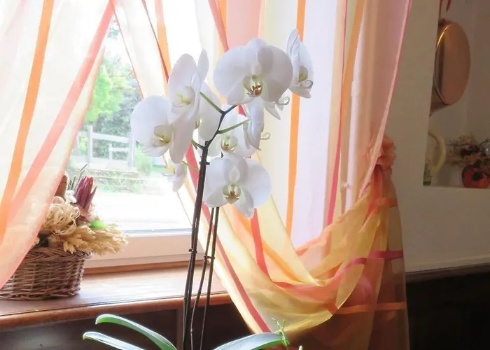 Le Relais Du Pont De Rhodes Hotel 2*